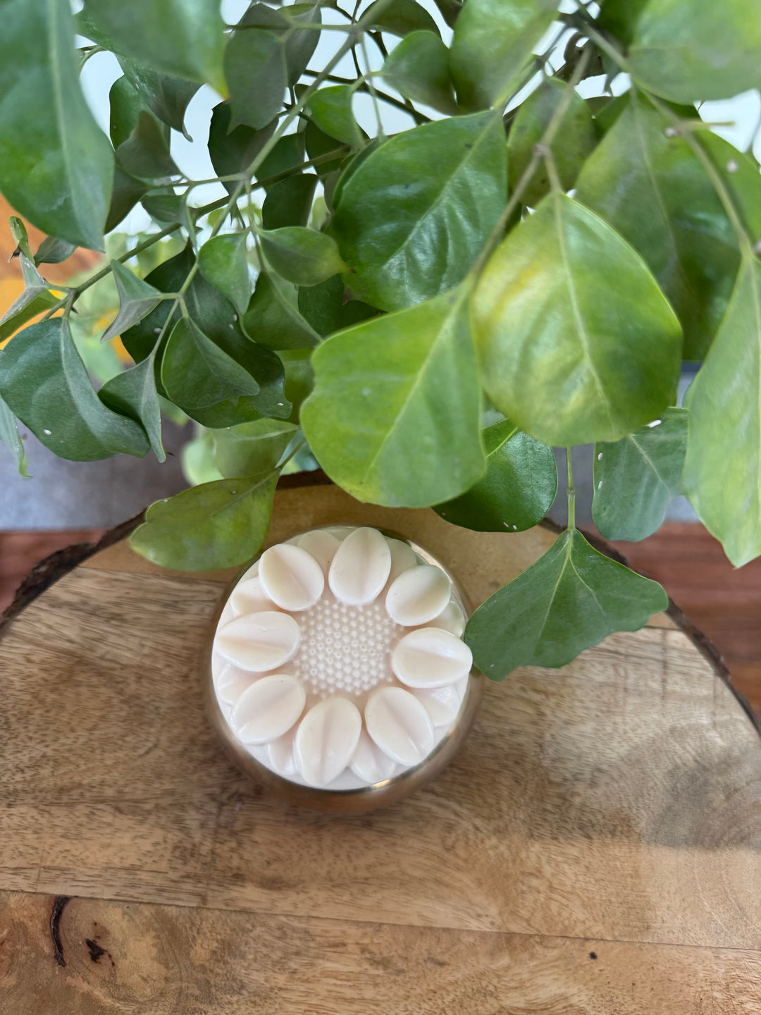 Coconut milk soap, Handmade, 100g
