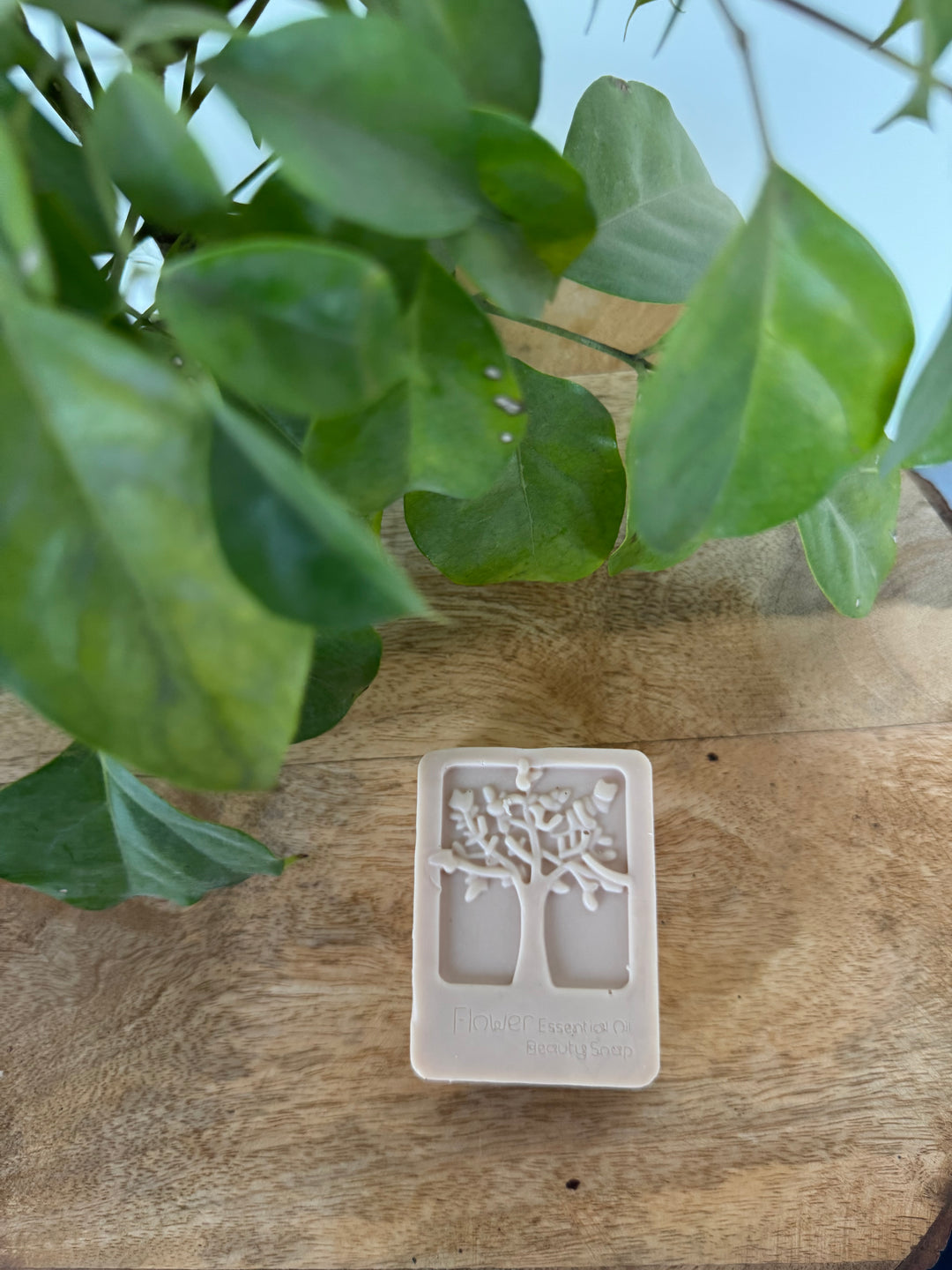 Camel Milk Soap, Handmade, 100g