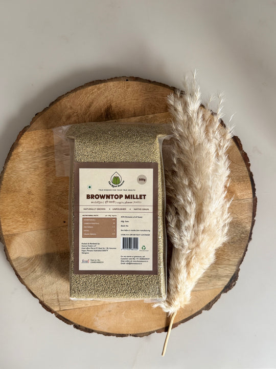 Browntop Millet